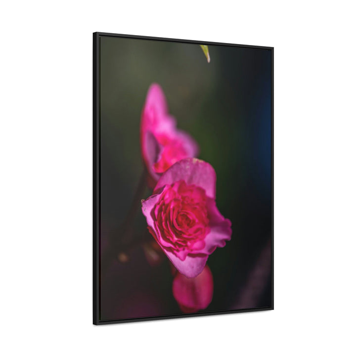 Hybrid Tea Rose - Canvas with Frame - Visiting This World