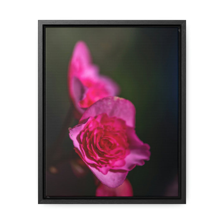 Hybrid Tea Rose - Canvas with Frame - Visiting This World