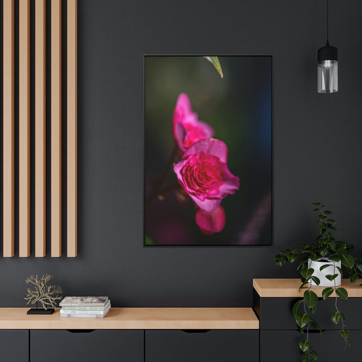 Hybrid Tea Rose - Canvas with Frame - Visiting This World