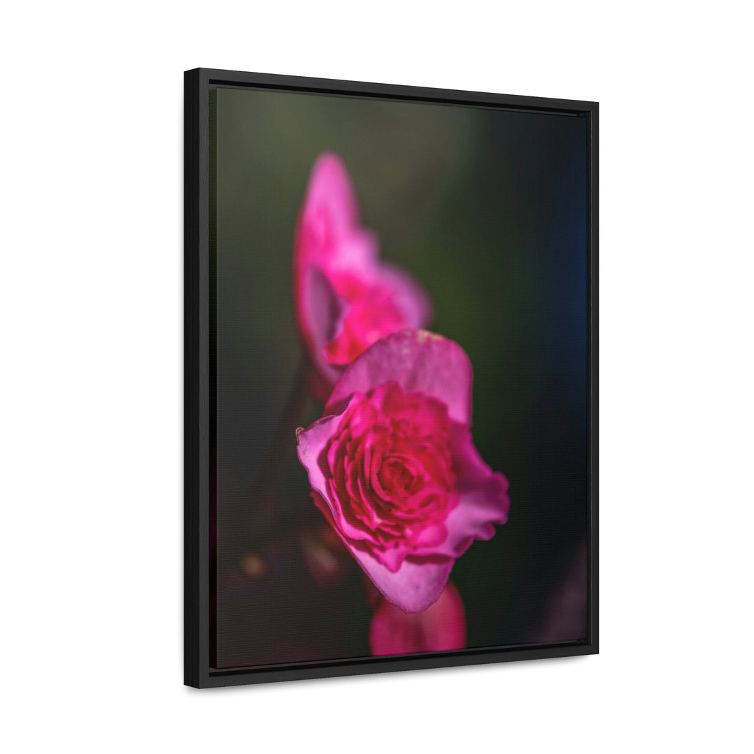 Hybrid Tea Rose - Canvas with Frame - Visiting This World