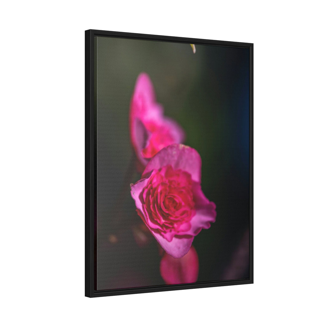 Hybrid Tea Rose - Canvas with Frame - Visiting This World