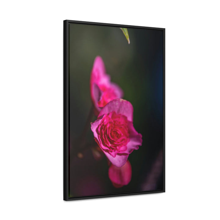 Hybrid Tea Rose - Canvas with Frame - Visiting This World