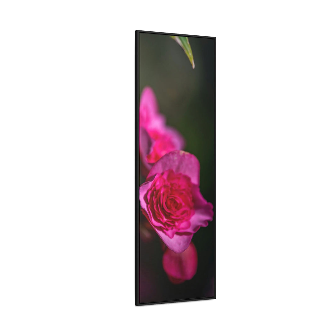 Hybrid Tea Rose - Canvas with Frame - Visiting This World