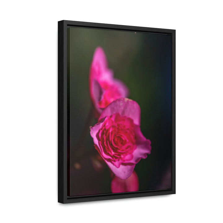 Hybrid Tea Rose - Canvas with Frame - Visiting This World