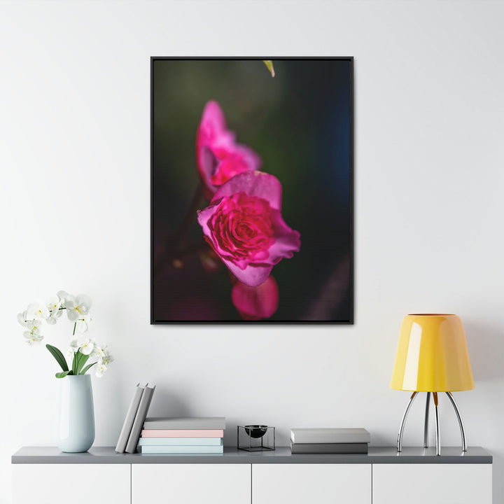 Hybrid Tea Rose - Canvas with Frame - Visiting This World