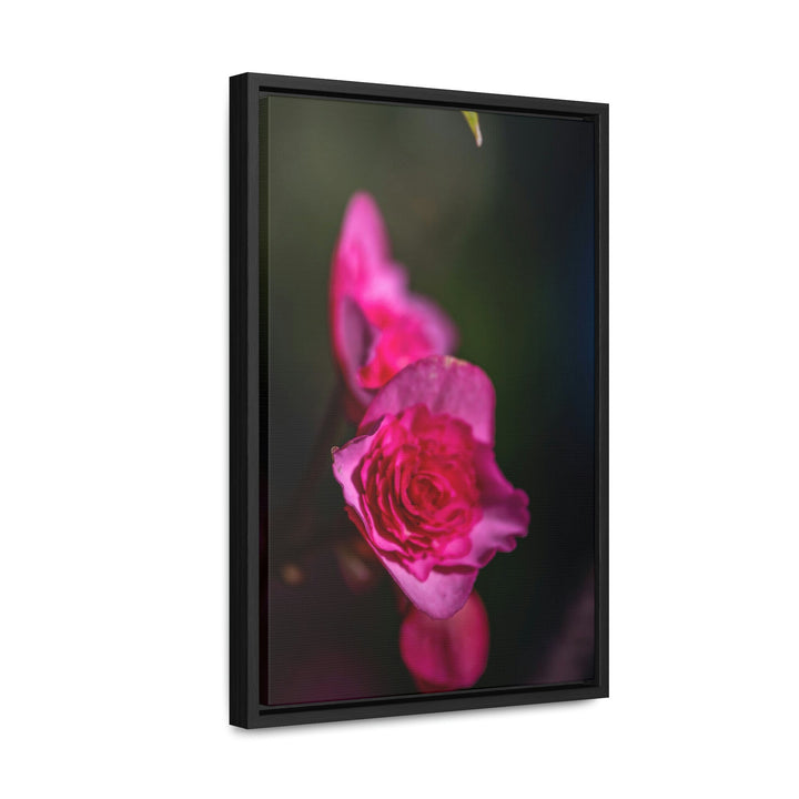 Hybrid Tea Rose - Canvas with Frame - Visiting This World