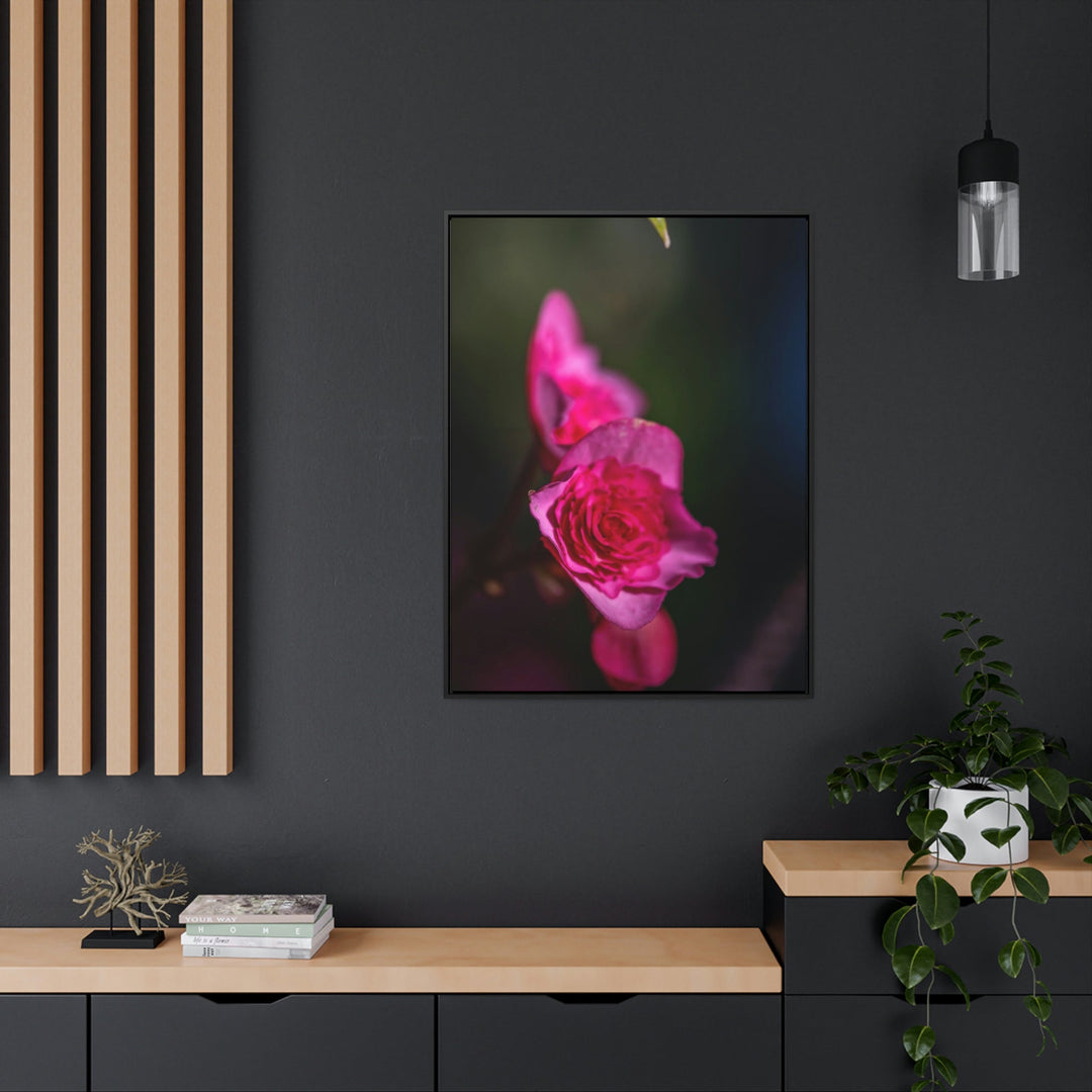 Hybrid Tea Rose - Canvas with Frame - Visiting This World