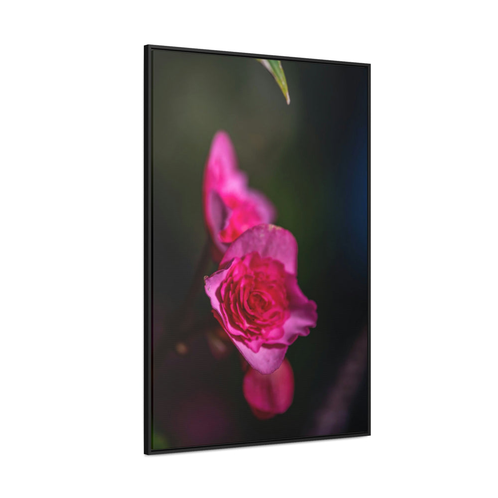 Hybrid Tea Rose - Canvas with Frame - Visiting This World