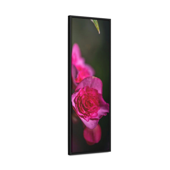 Hybrid Tea Rose - Canvas with Frame - Visiting This World