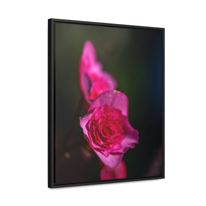 Hybrid Tea Rose - Canvas with Frame - Visiting This World