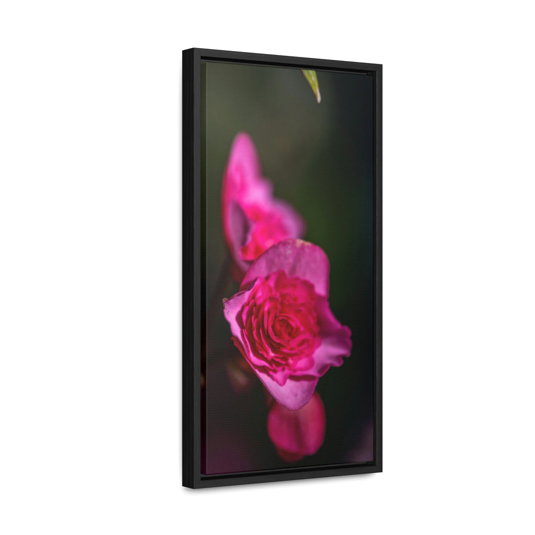 Hybrid Tea Rose - Canvas with Frame - Visiting This World