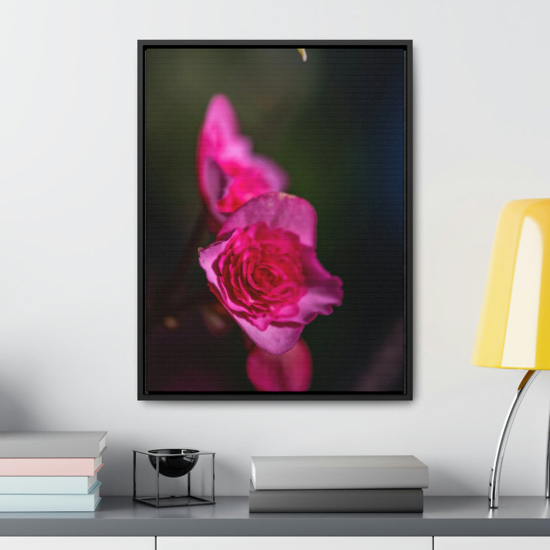 Hybrid Tea Rose - Canvas with Frame - Visiting This World