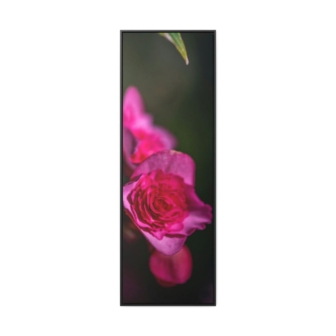 Hybrid Tea Rose - Canvas with Frame - Visiting This World