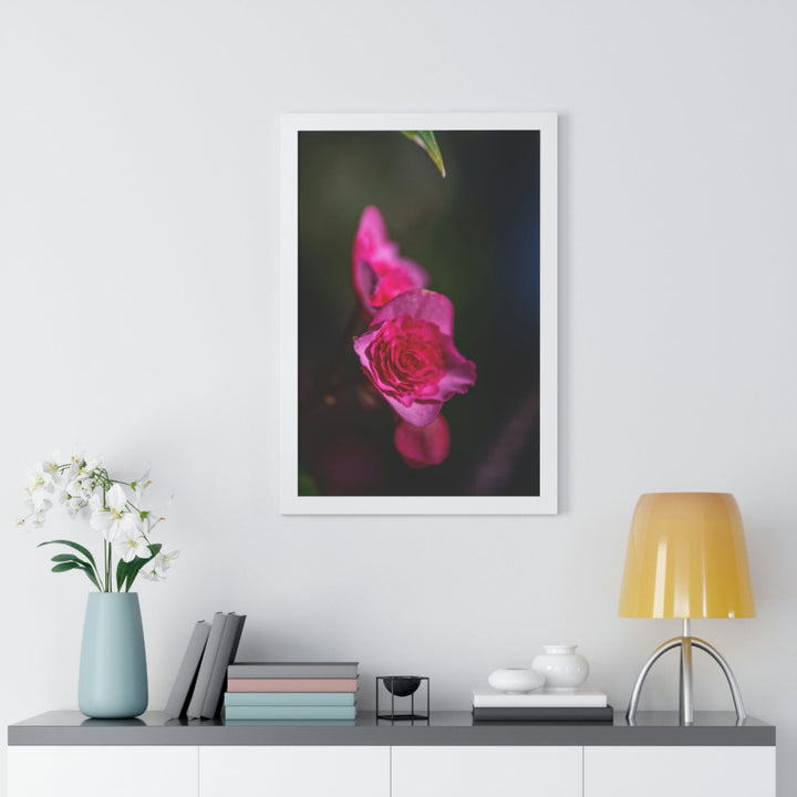 Hybrid Tea Rose - Framed Print - Visiting This World