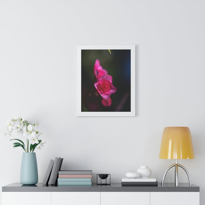 Hybrid Tea Rose - Framed Print - Visiting This World