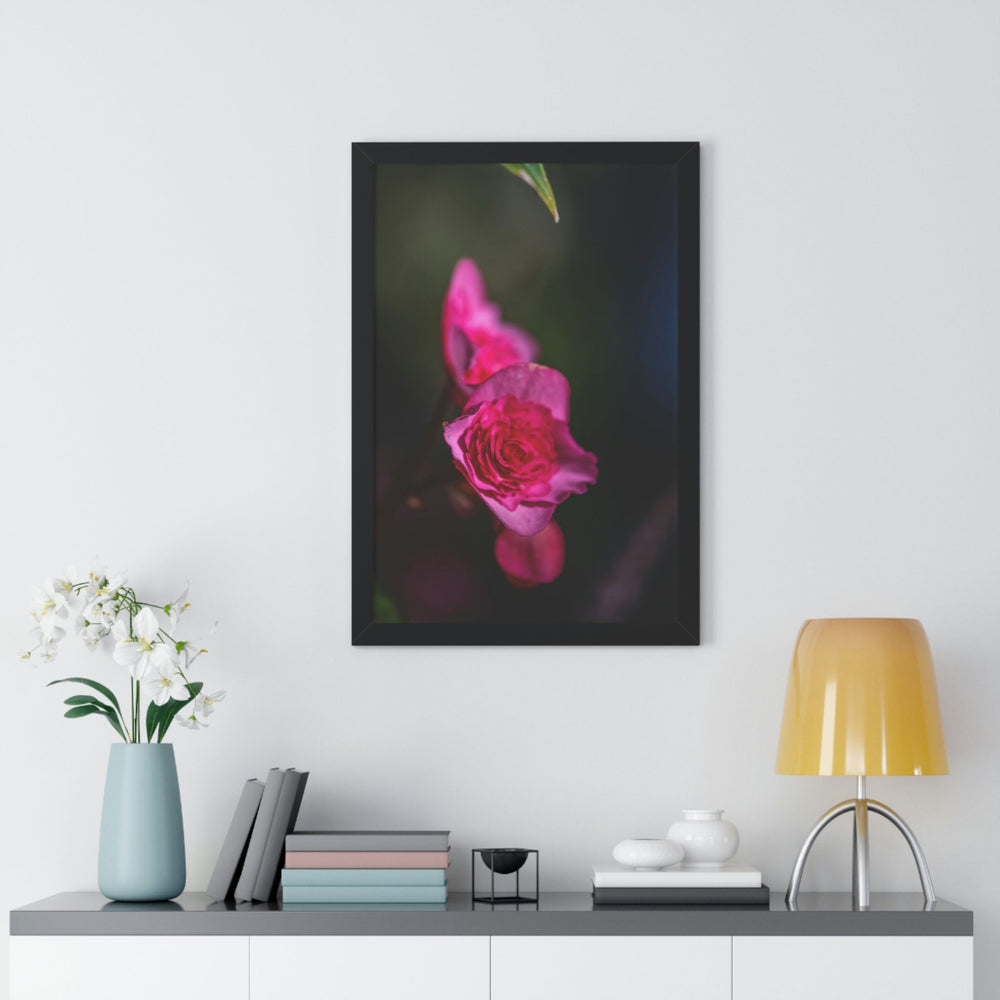 Hybrid Tea Rose - Framed Print - Visiting This World