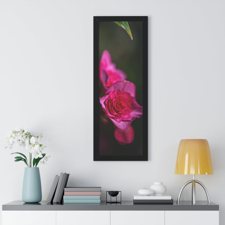 Hybrid Tea Rose - Framed Print - Visiting This World