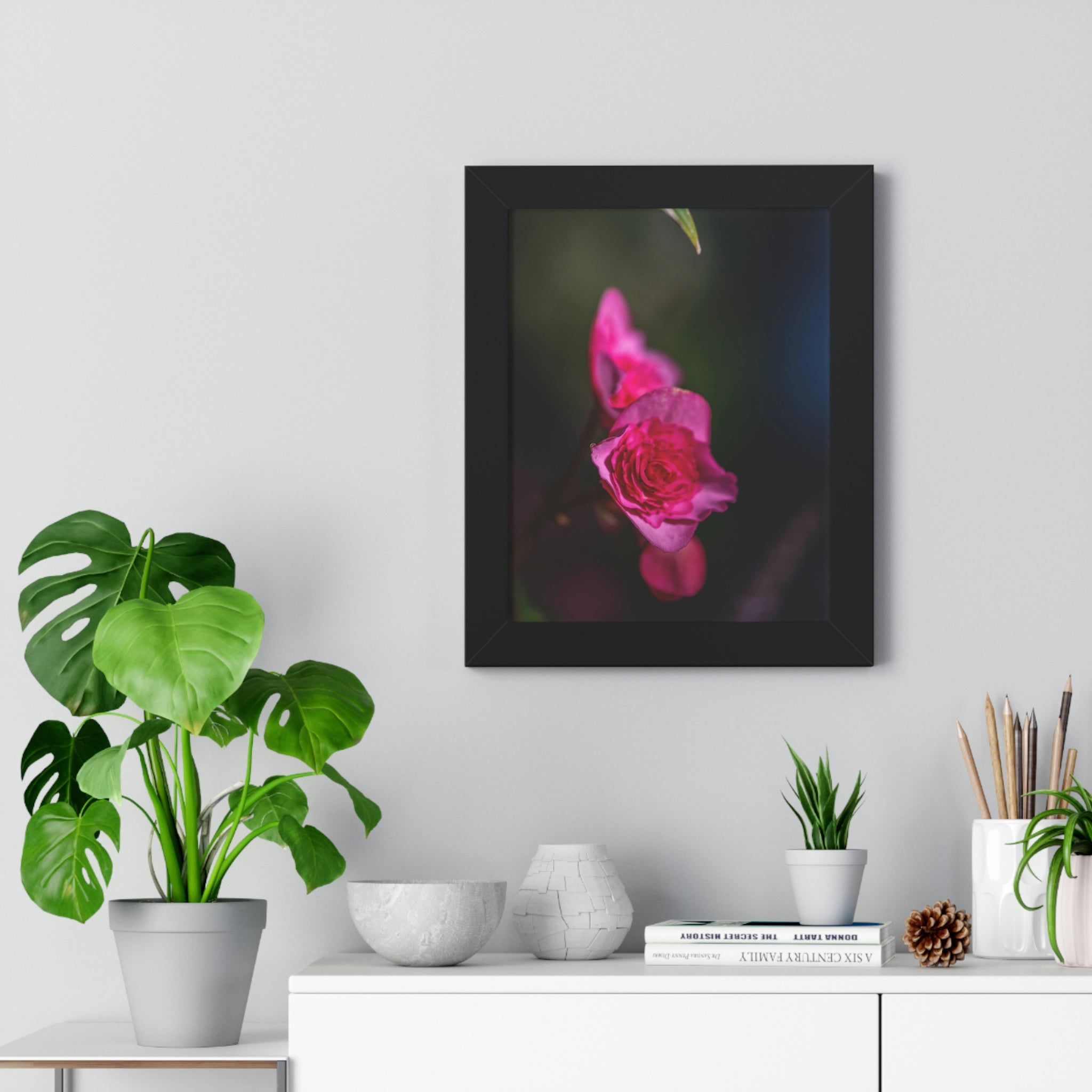 Hybrid Tea Rose - Framed Print - Visiting This World