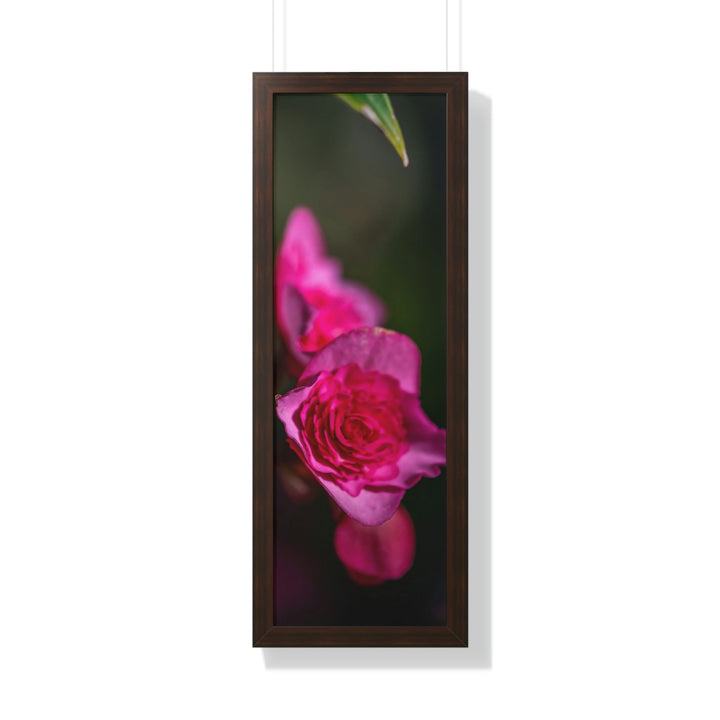 Hybrid Tea Rose - Framed Print - Visiting This World