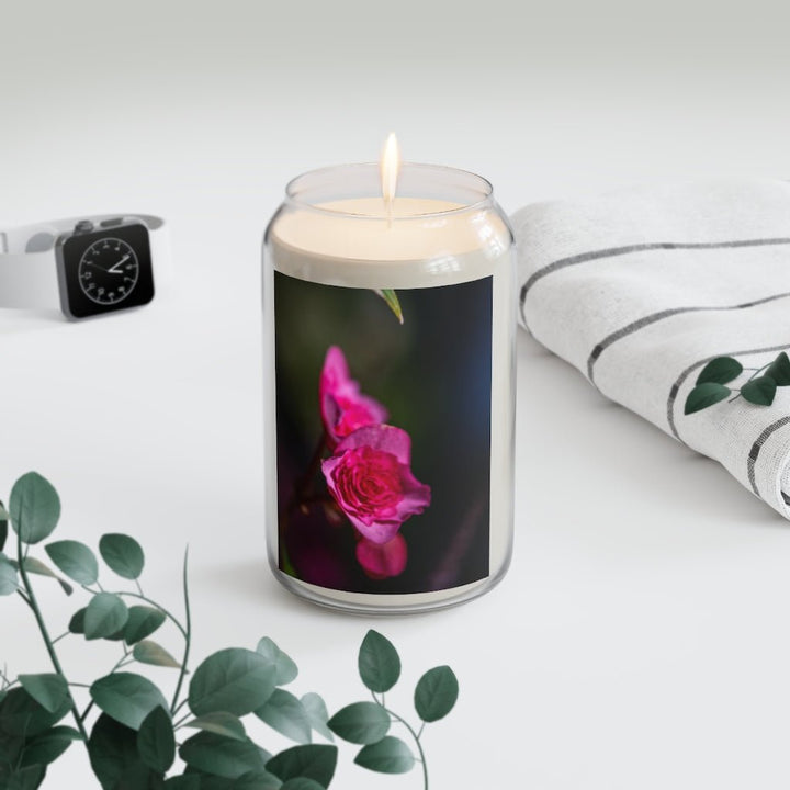 Hybrid Tea Rose - Scented Candle, 13.75oz - Visiting This World