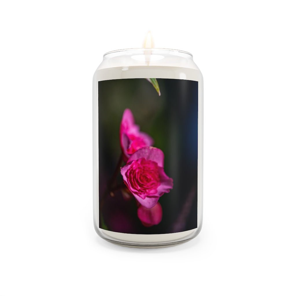 Hybrid Tea Rose - Scented Candle, 13.75oz - Visiting This World