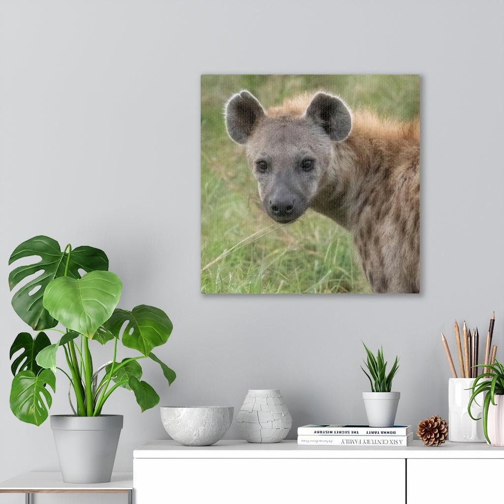 Hyena Stare - Canvas - Visiting This World