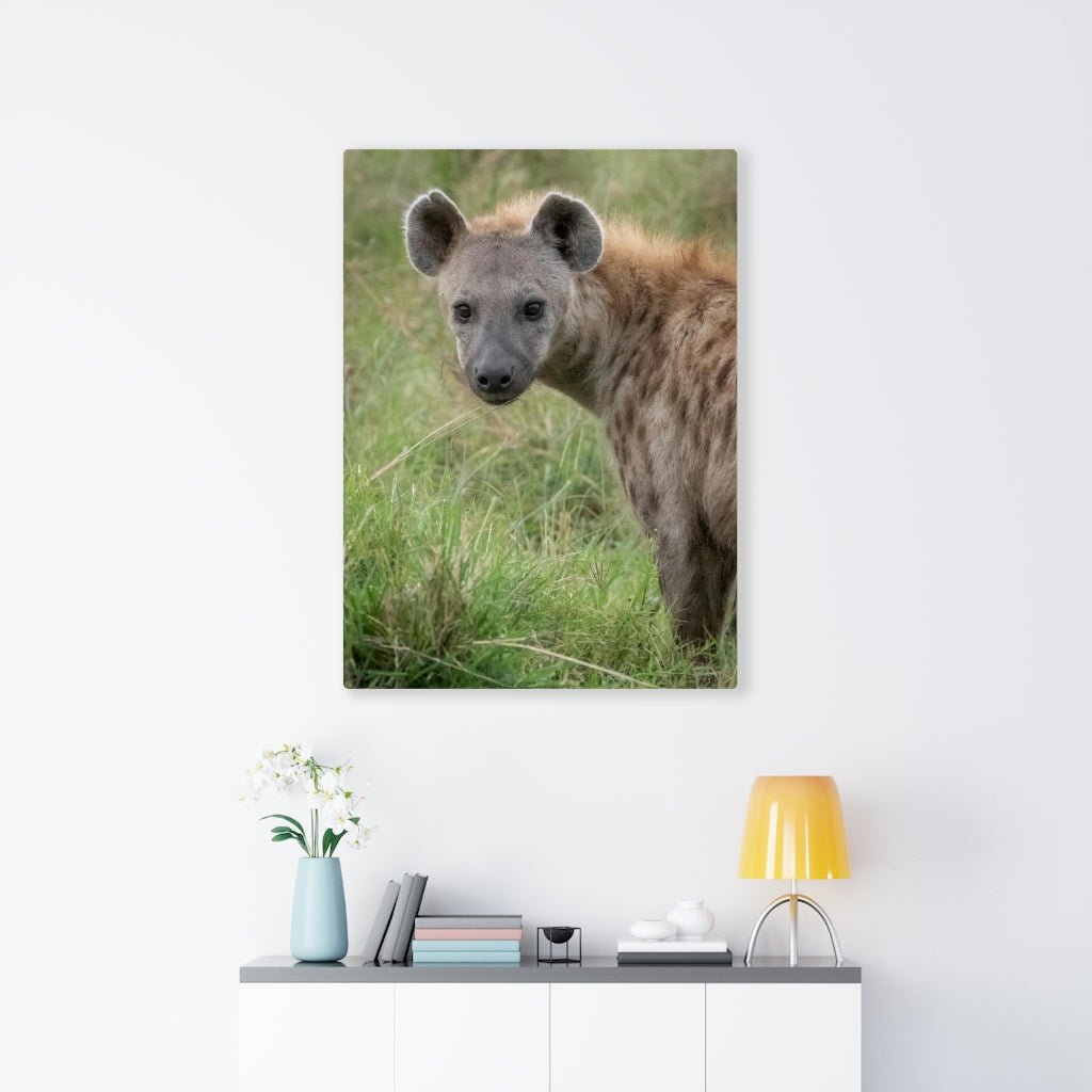 Hyena Stare - Canvas - Visiting This World