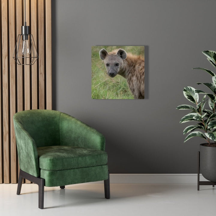 Hyena Stare - Canvas - Visiting This World