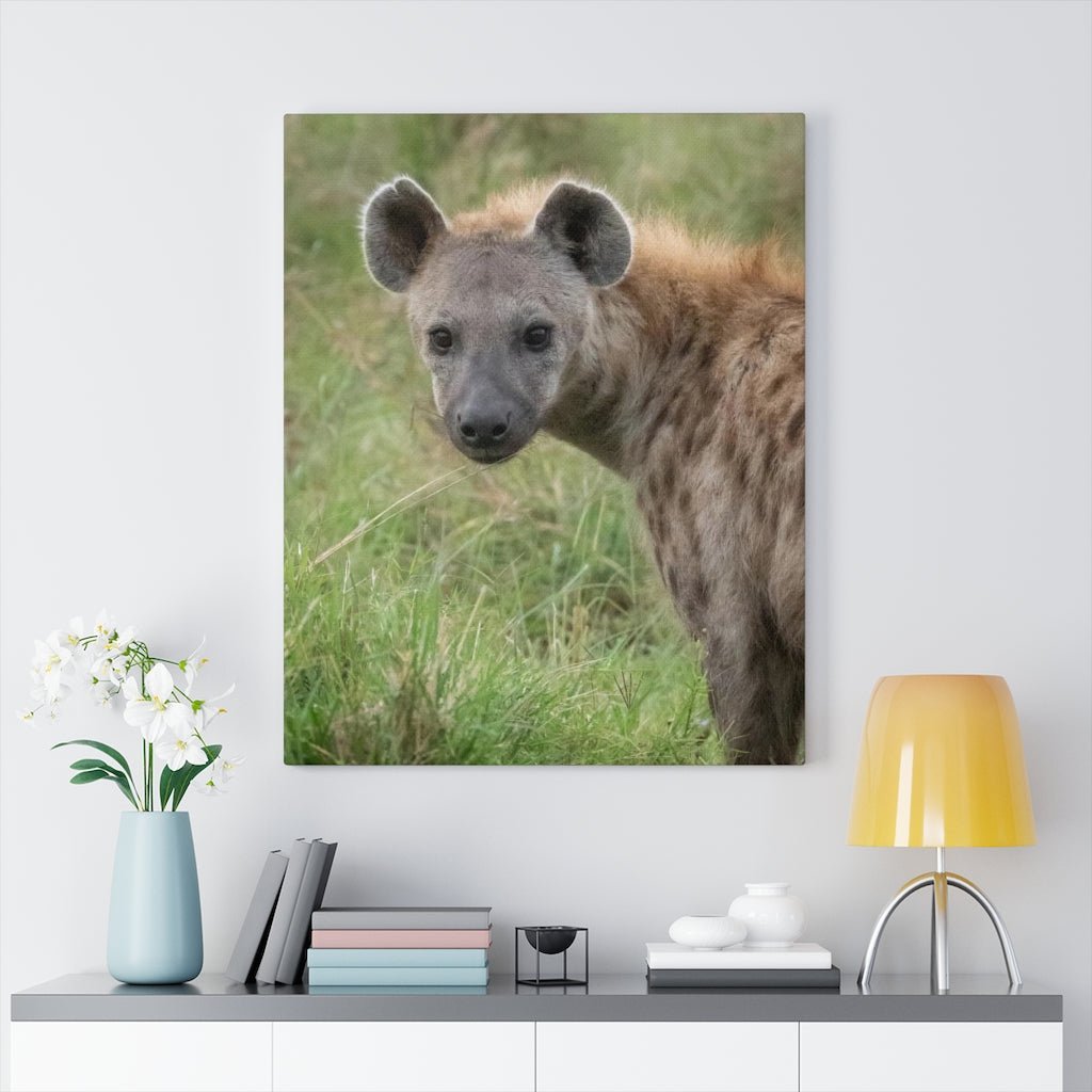 Hyena Stare - Canvas - Visiting This World