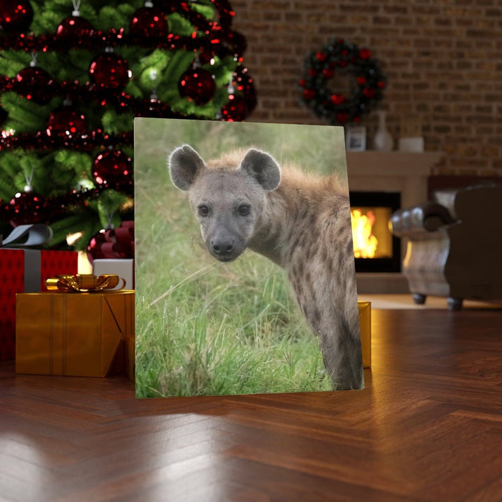 Hyena Stare - Canvas - Visiting This World