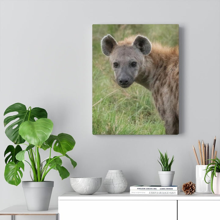 Hyena Stare - Canvas - Visiting This World