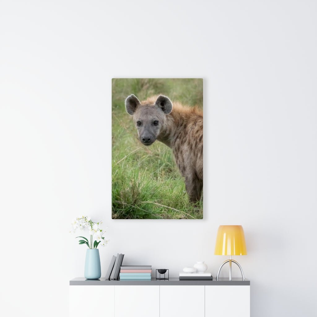 Hyena Stare - Canvas - Visiting This World