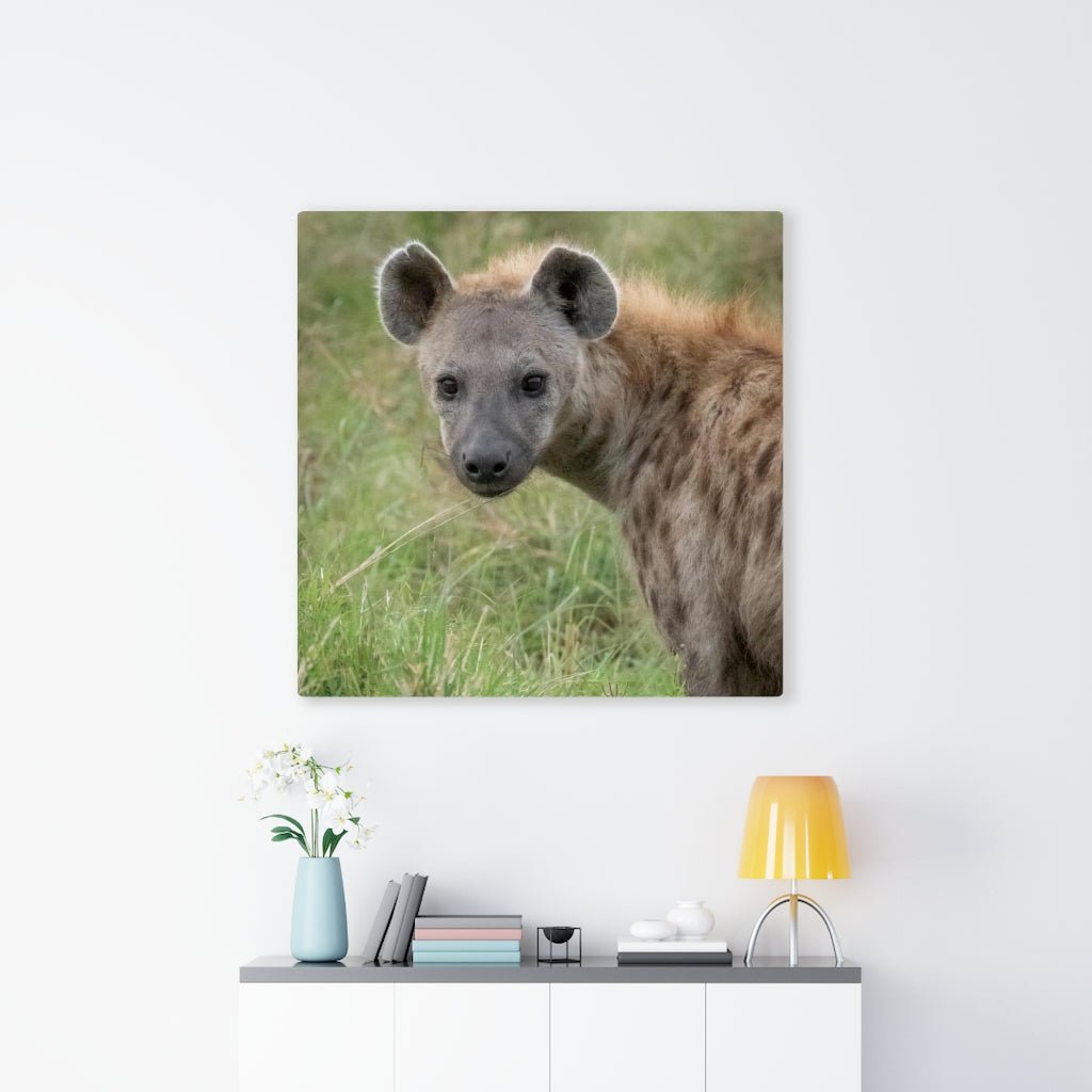 Hyena Stare - Canvas - Visiting This World