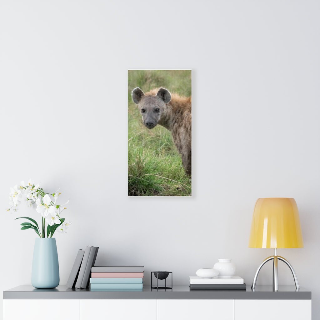 Hyena Stare - Canvas - Visiting This World