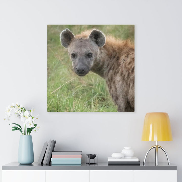 Hyena Stare - Canvas - Visiting This World