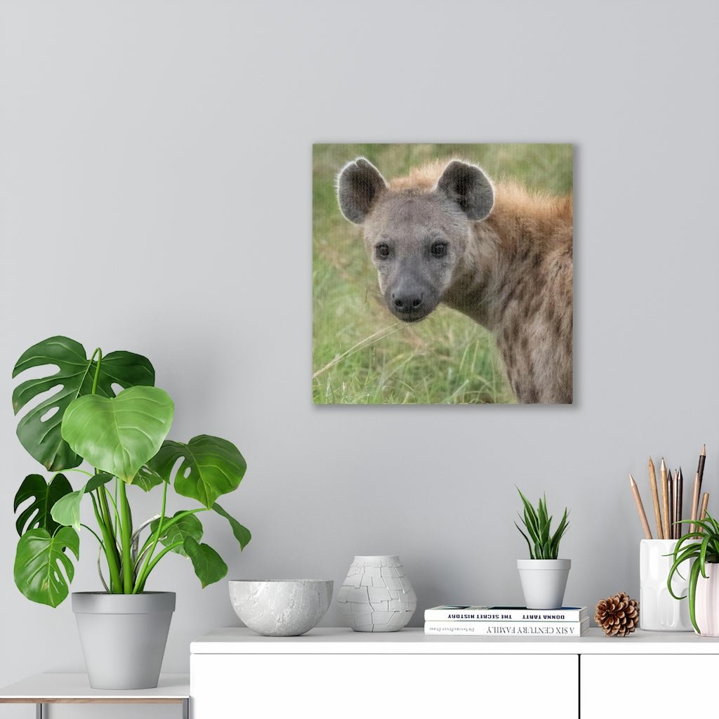 Hyena Stare - Canvas - Visiting This World