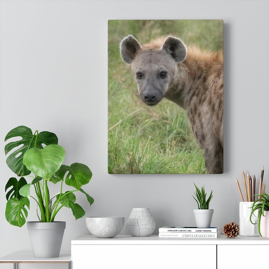 Hyena Stare - Canvas - Visiting This World