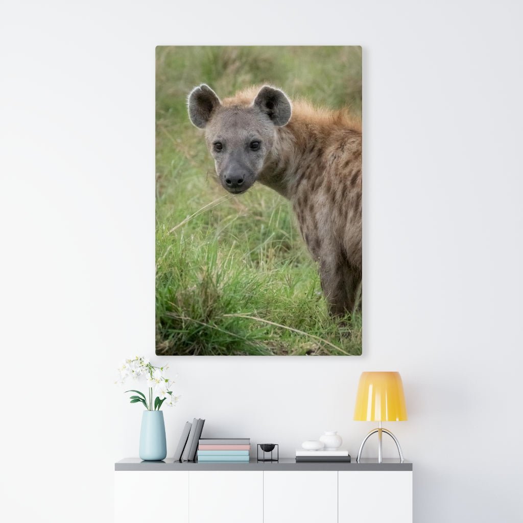 Hyena Stare - Canvas - Visiting This World