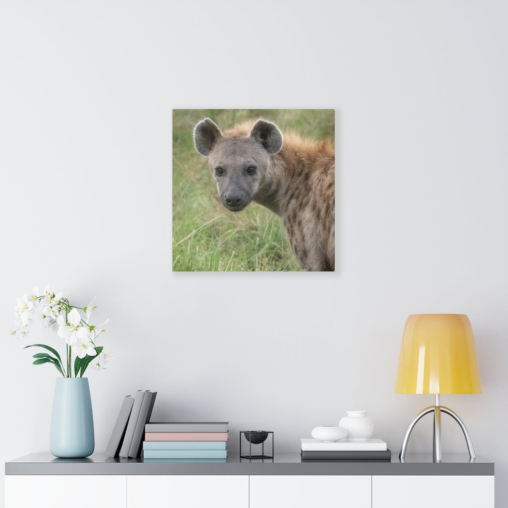 Hyena Stare - Canvas - Visiting This World