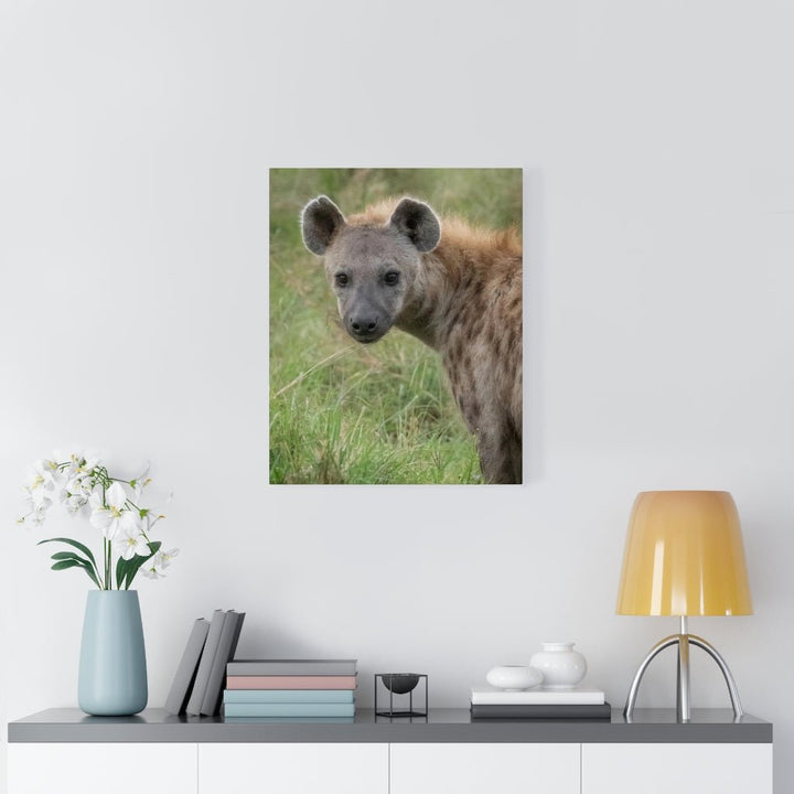 Hyena Stare - Canvas - Visiting This World