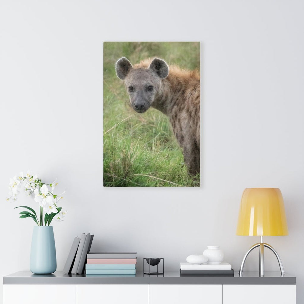 Hyena Stare - Canvas - Visiting This World