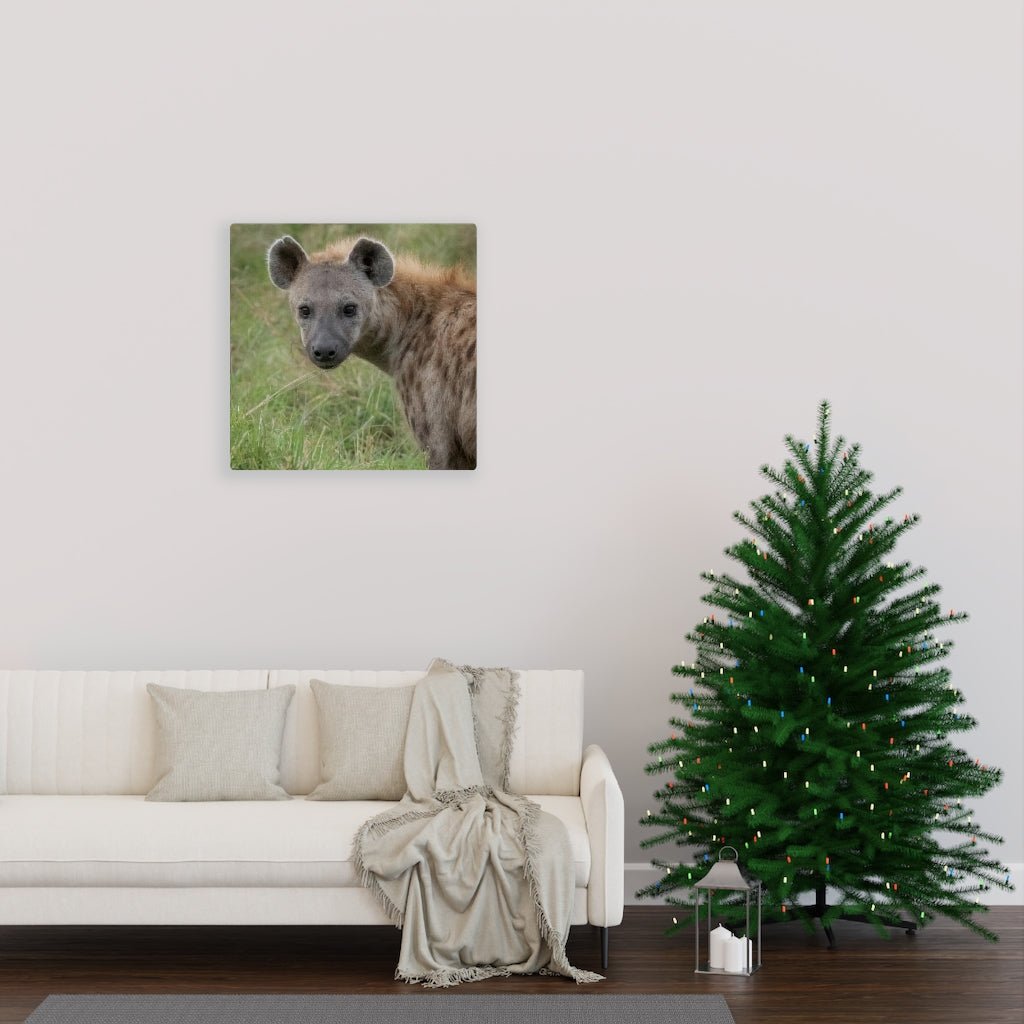 Hyena Stare - Canvas - Visiting This World