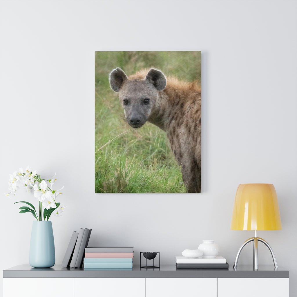 Hyena Stare - Canvas - Visiting This World