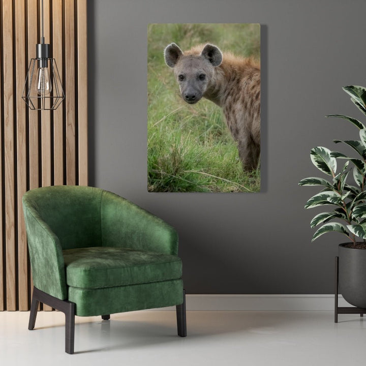 Hyena Stare - Canvas - Visiting This World