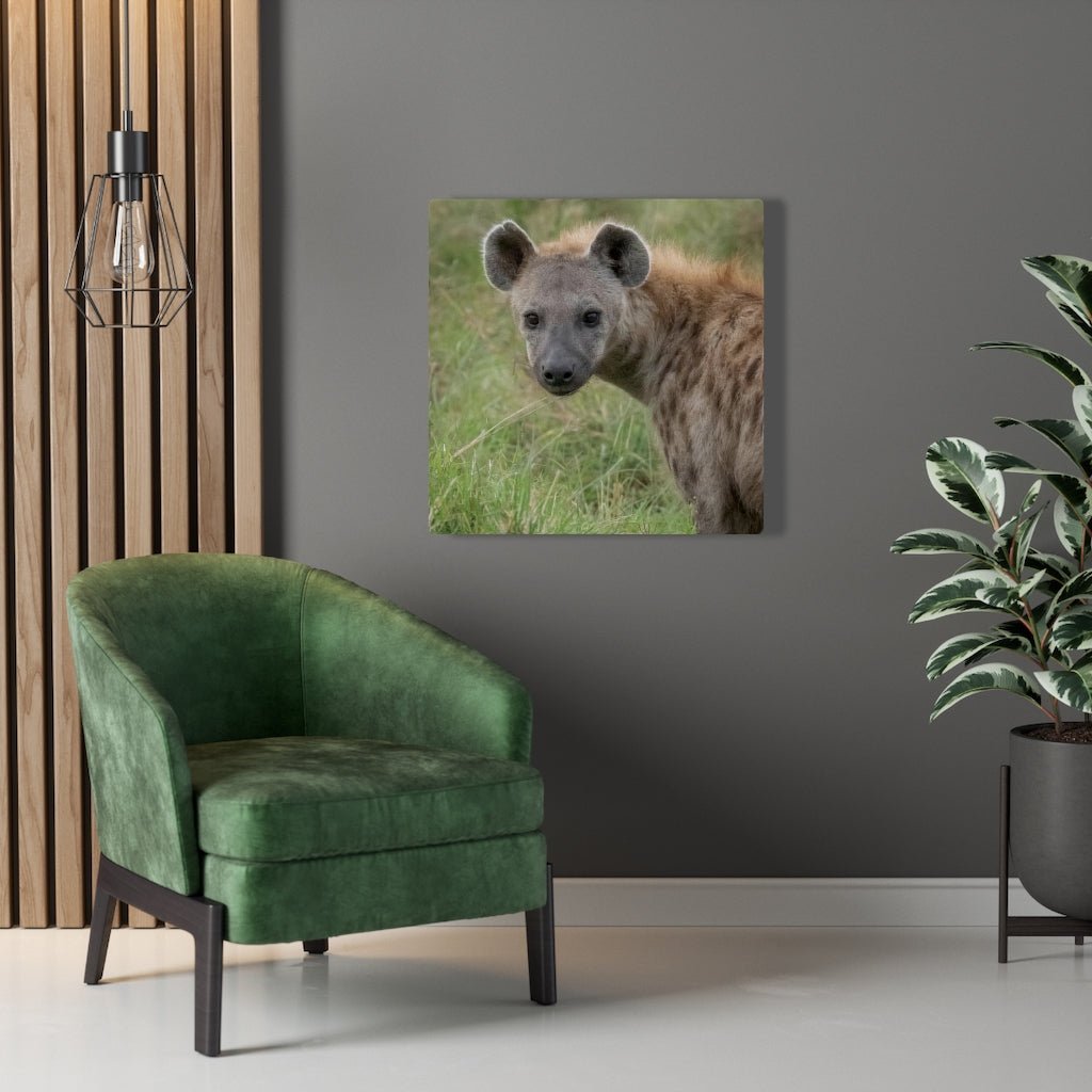 Hyena Stare - Canvas - Visiting This World