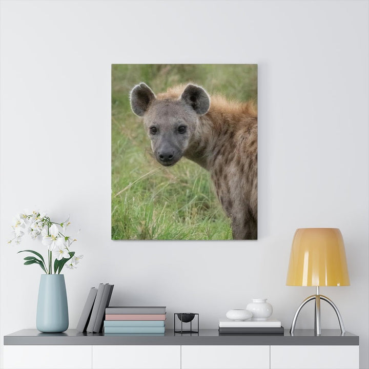 Hyena Stare - Canvas - Visiting This World