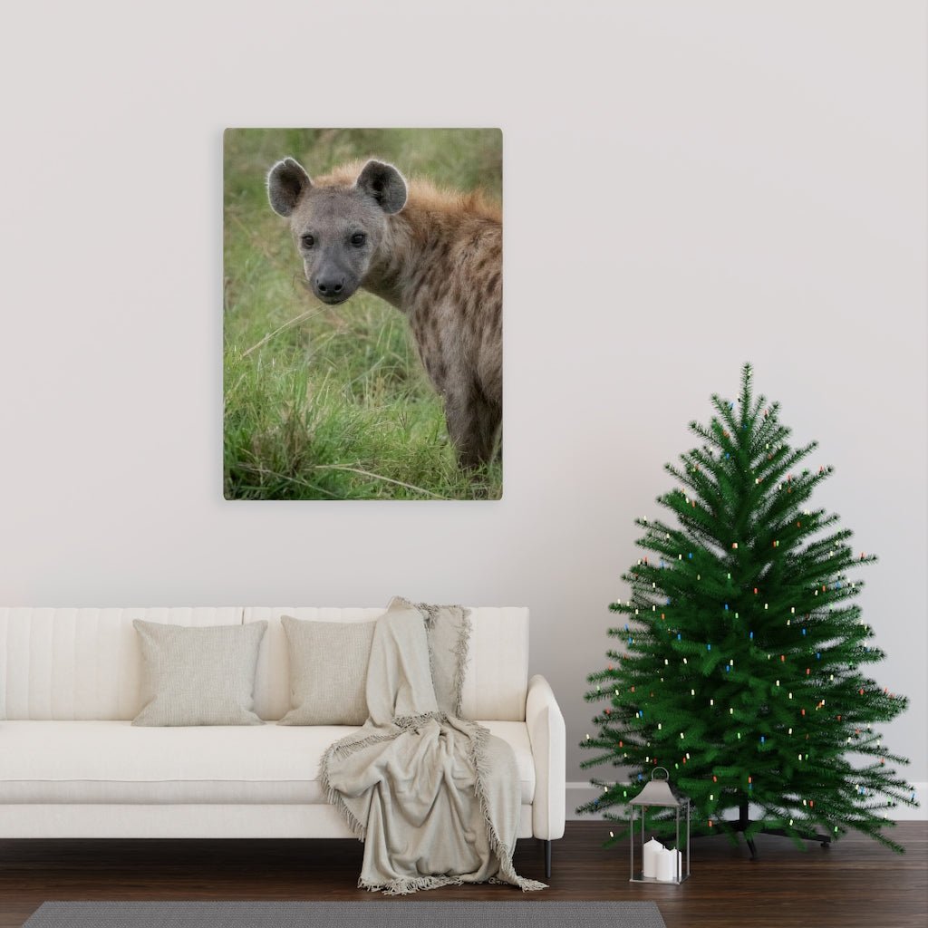 Hyena Stare - Canvas - Visiting This World