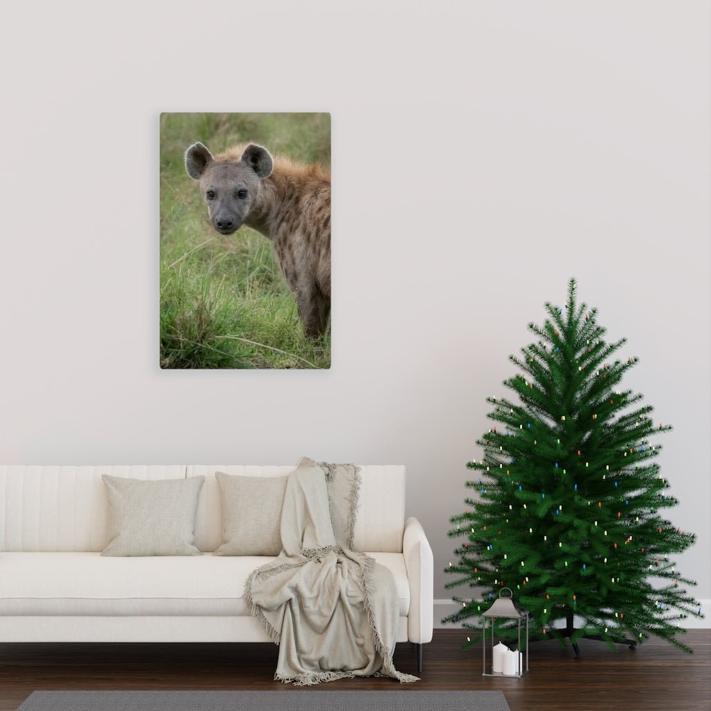 Hyena Stare - Canvas - Visiting This World