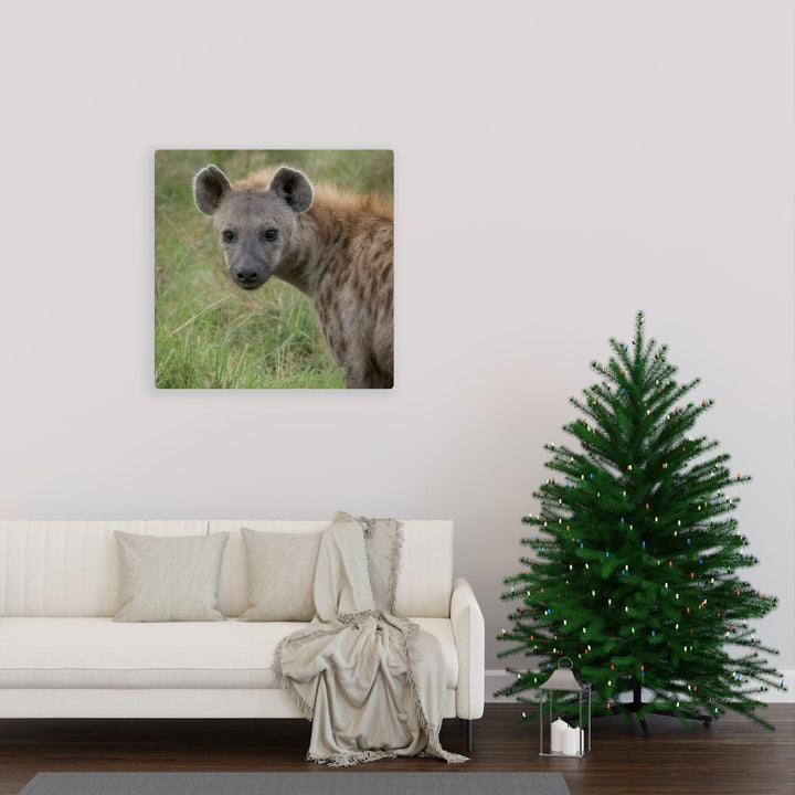 Hyena Stare - Canvas - Visiting This World