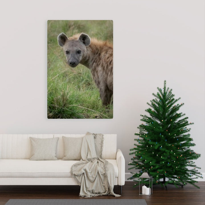 Hyena Stare - Canvas - Visiting This World